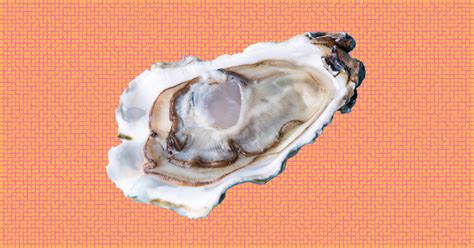 vienese oyster|Viennese Oyster Definition & Meaning .